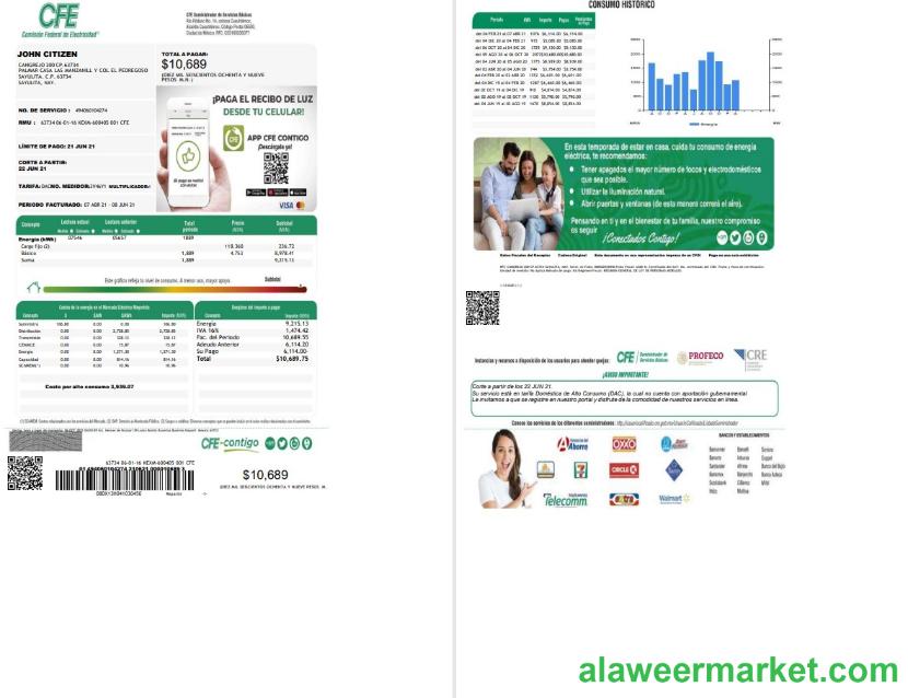Mexico Federal Electricity Commission (CFE) utility bill template in Word format, 2 pages